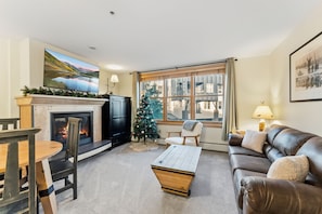 Smart TV, fireplace, books