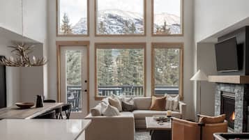 TV, fireplace, music library