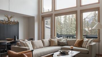 TV, fireplace, music library