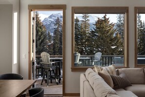 TV, fireplace, music library