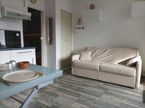 Living area - 300m from ski slopes, view mountain, balcony, tv, 21m², Pra Loup (Pra Loup)
