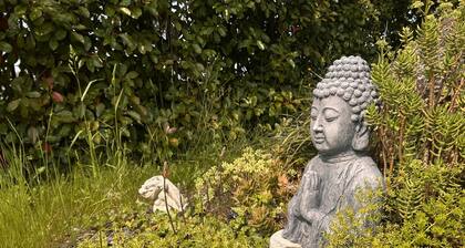 Quinta de MelquĂades - Embrace your Nature