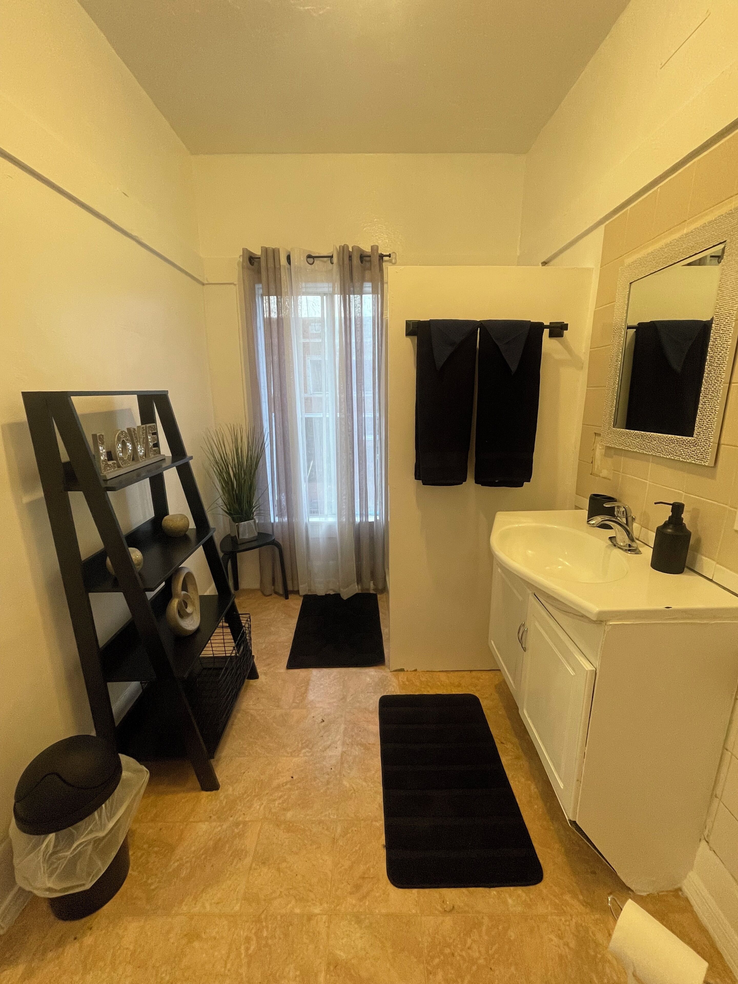 Shower, towels, toilet paper