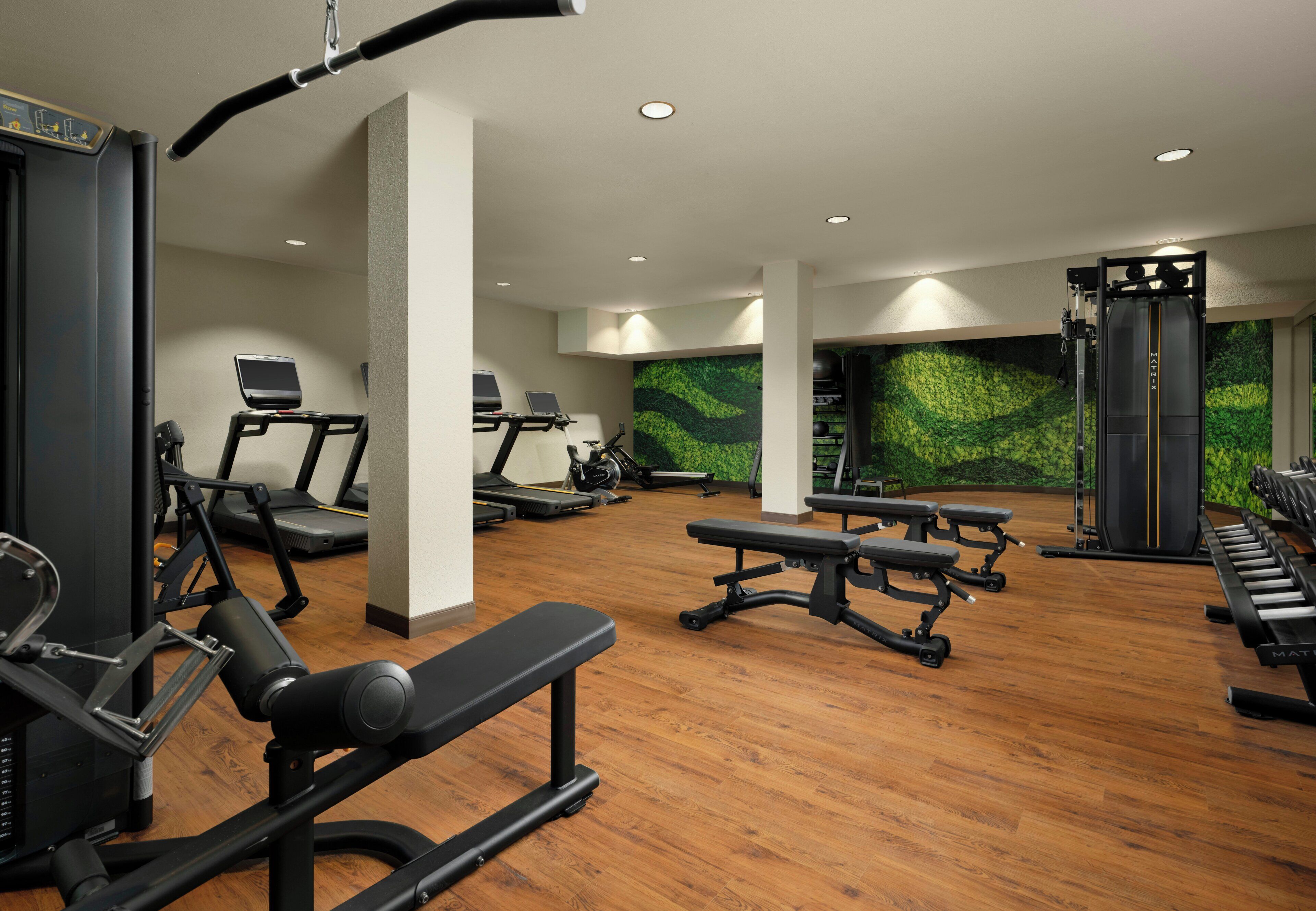 Un gimnasio con cintas de correr, máquinas de pesas y una pared con un diseño de hojas verdes.