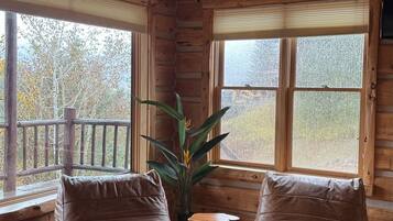 智能电视、壁炉、书