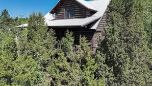 Un chalet rustique en rondins de bois, entouré d’une forêt dense.