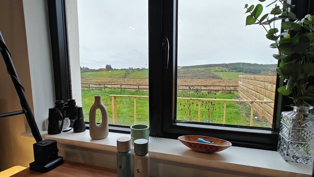 Quarto com uma grande janela com vista para um campo verde, uma mesa de madeira com um prato de manteiga e uma planta no parapeito da janela.