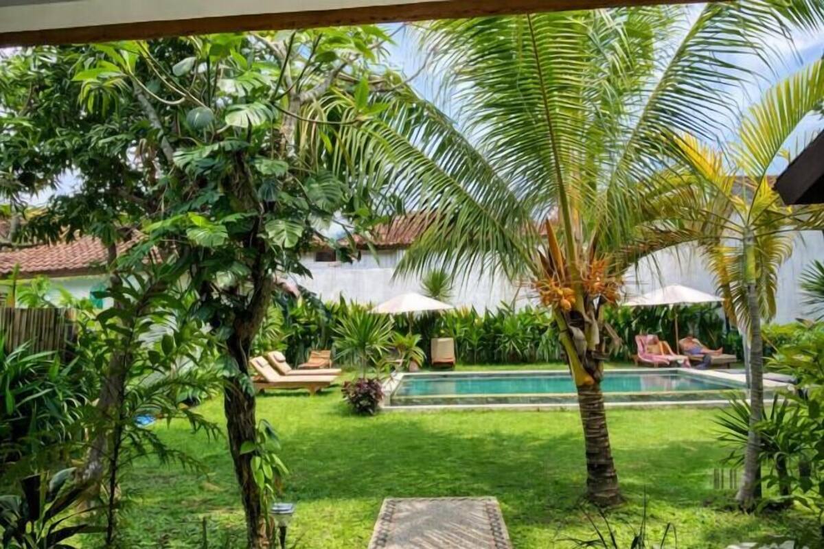 A backyard with a swimming pool, lounge chairs, and lush greenery.