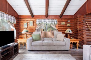 Smart TV, fireplace, DVD player, books