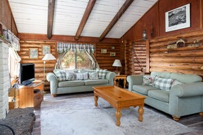 TV connectée, cheminée, lecteur de DVD, livres