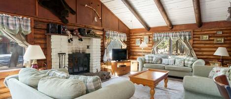 TV connectée, cheminée, lecteur de DVD, livres