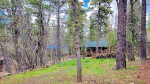 A forested area with a cabin and a stack of firewood. - The Ohana Lodge - Rustic Log Cabin in Pinetop Country Club w/Deck, BBQ & B-Ball (Pinetop Country Club)