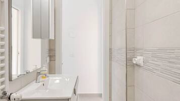 Shower, hair dryer, bidet, towels