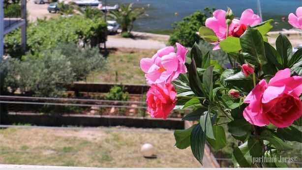 A coastal landscape with a view of a beach and a hill in the background. - Apartments Juras - Studio Apartment with Sea View (Mia) (Rogoznica)