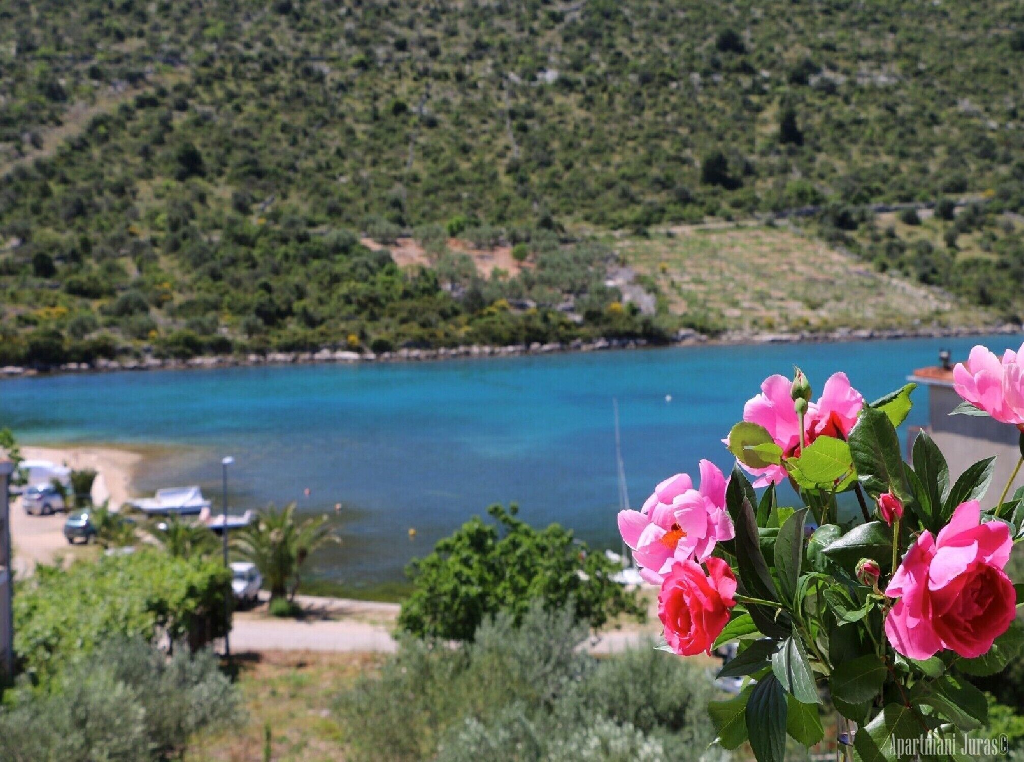 A coastal landscape with a clear view of a turquoise sea, a sandy beach, and lush greenery in the background.