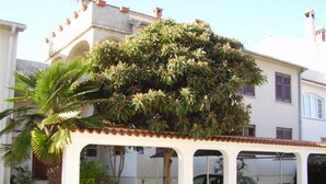 A covered outdoor area with a palm tree and a large bush. - Apartments Nada - Two Bedroom Apartment (A2) (Fazana)