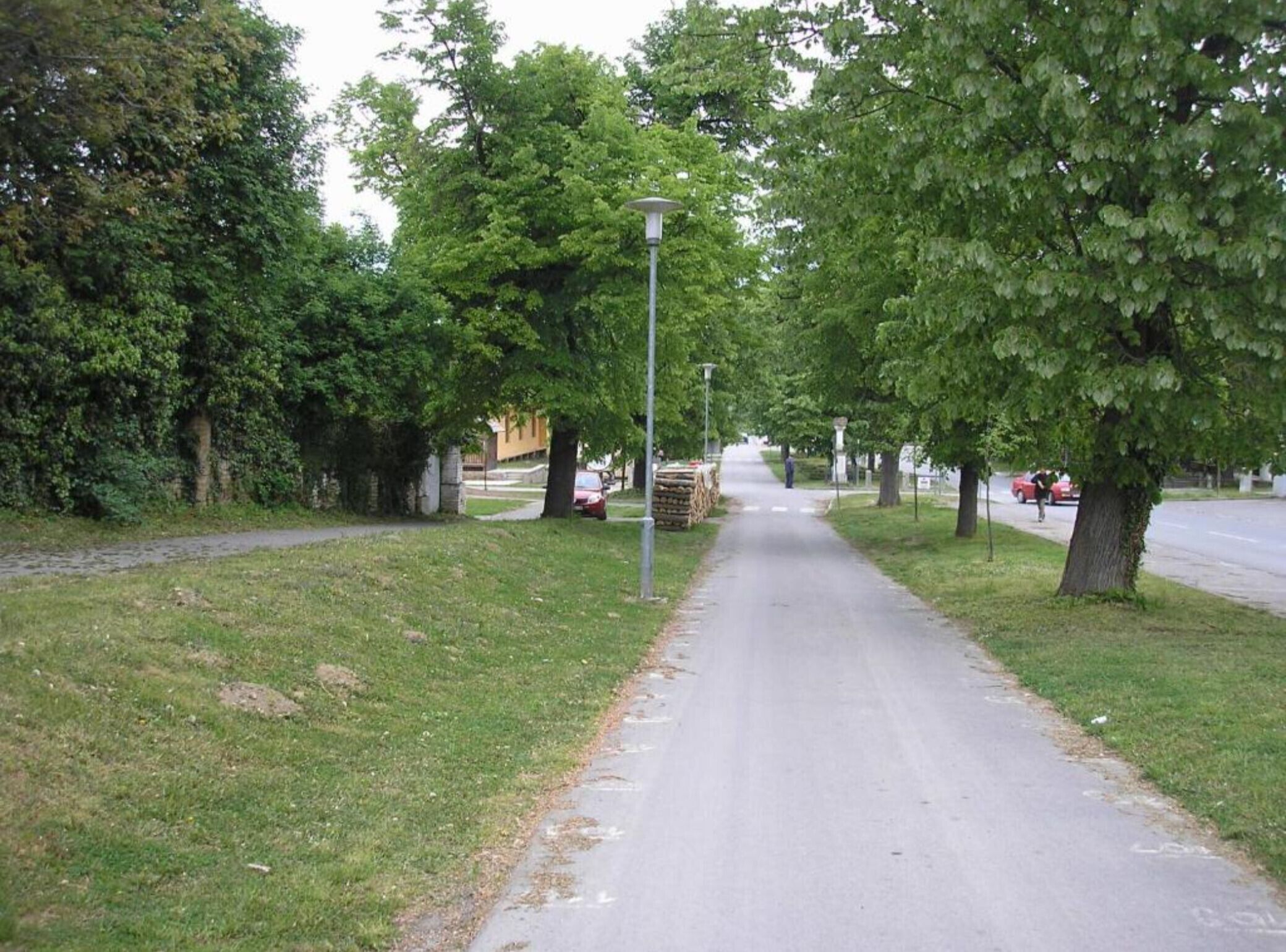 A tree-lined pathway with a lamp post and a paved road.