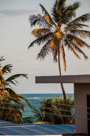 Villa | Áreas de la propiedad