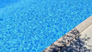 Ein klares, blaues Schwimmbecken mit einer gefliesten Kante und Bäumschatten auf dem Boden.