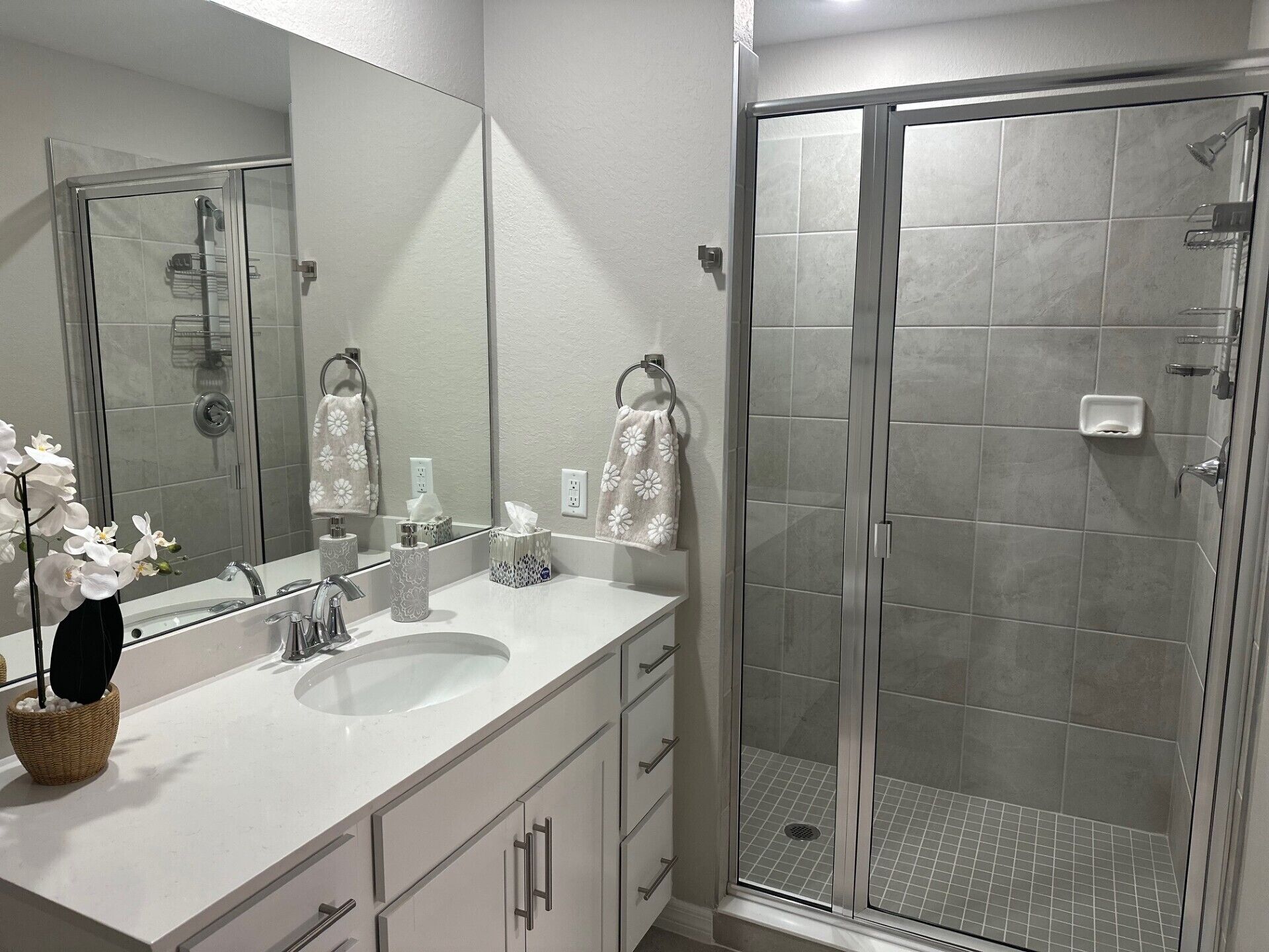 A modern bathroom with a glass shower enclosure, a white sink, and a large mirror.