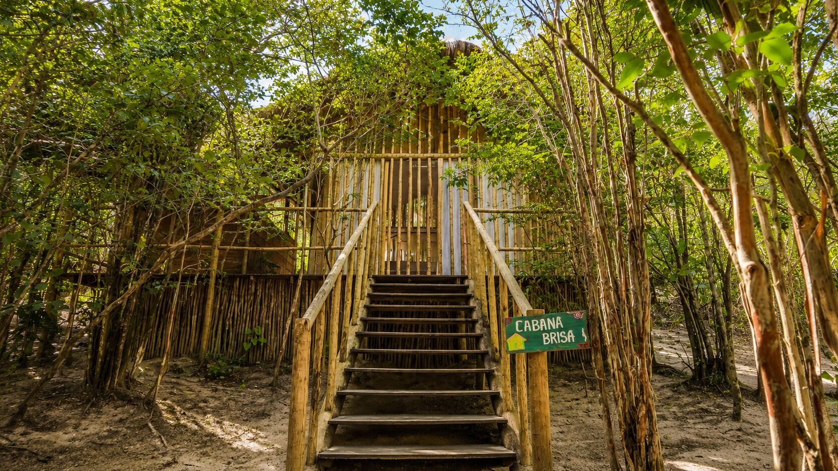 Cabaña superior, baño privado, vista al jardín | Terraza o patio