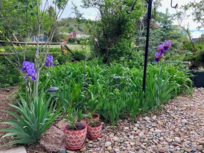 Property grounds - Charming 4-Bedroom Newly Remodeled House -Walk to Lake & Restaurants! (Palmer Lake)