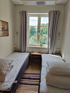 A small, well-lit room with two beds, a window with curtains, a radiator, and a painting on the wall.