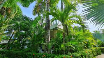 Àrea exterior de l'allotjament