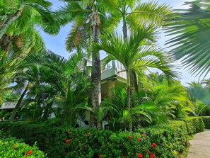 Jardines del alojamiento