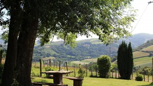 A rustic wooden table and bench in a grassy field with a view of rolling hills and a tree in the foreground. - FAGACHURIA - ITXASSOU (ITXASSOU)