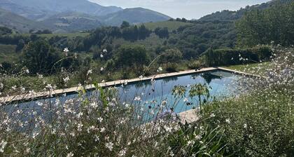 FAGACHURIA - ITXASSOU