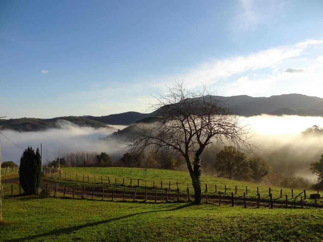 A rural landscape with a tree in the foreground, a fence, and rolling hills in the background.