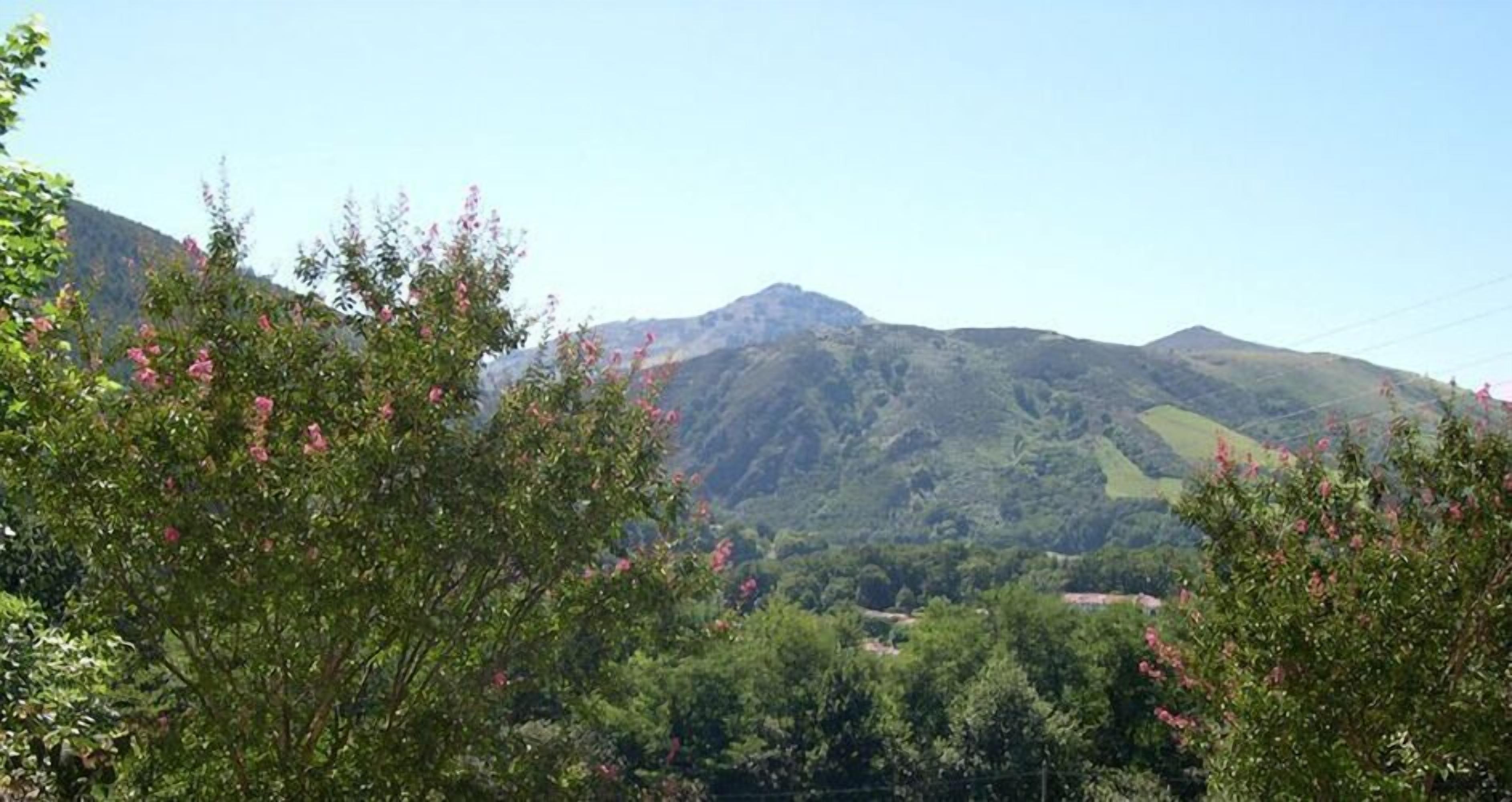 A mountainous landscape with lush greenery and pink flowers in the foreground.