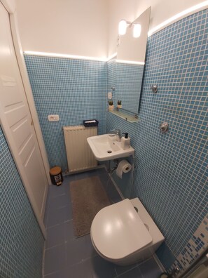 Shower, free toiletries, hair dryer, slippers - Caserina Lux Roma (Rome)