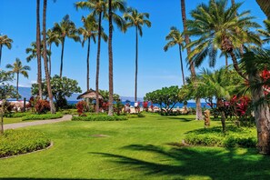 Property grounds - Surf Break Directly Out Front! – Kaanapali Alii 114 (Lahaina)