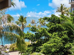 Property grounds - Kaanapali Alii 264 - Professionally Managed (Lahaina)