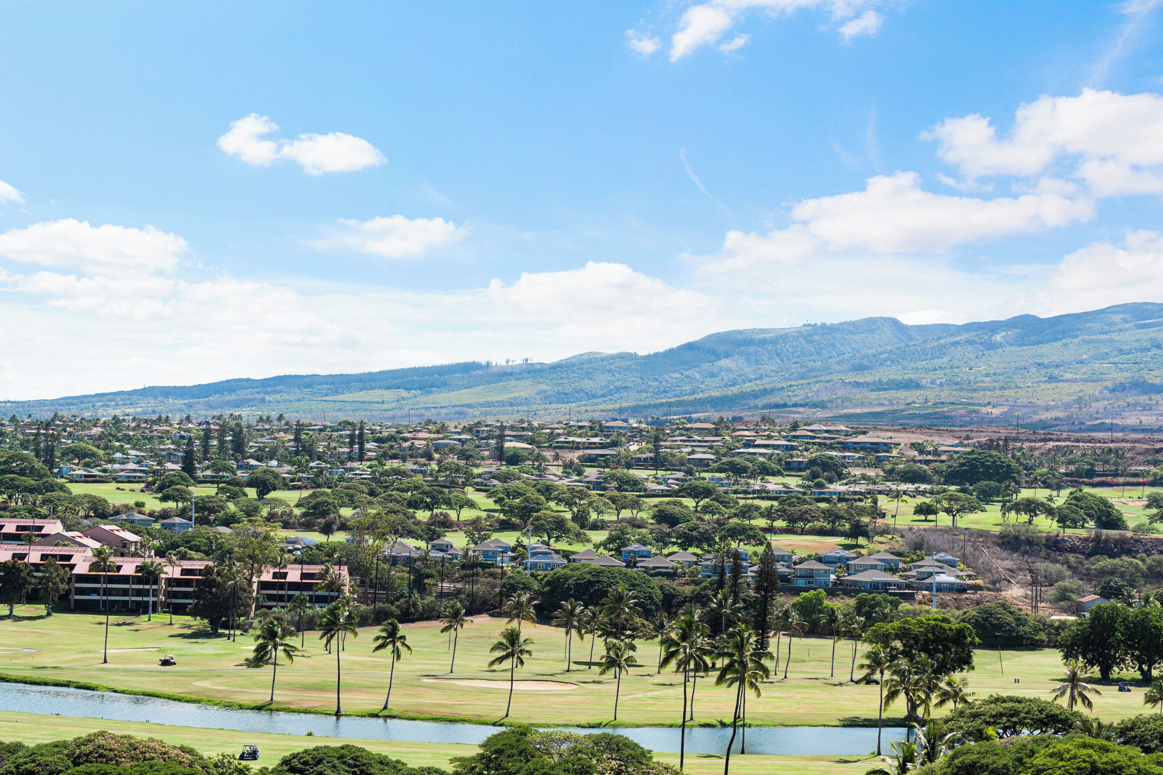 A golf course with a lake, surrounded by residential buildings and palm trees.
