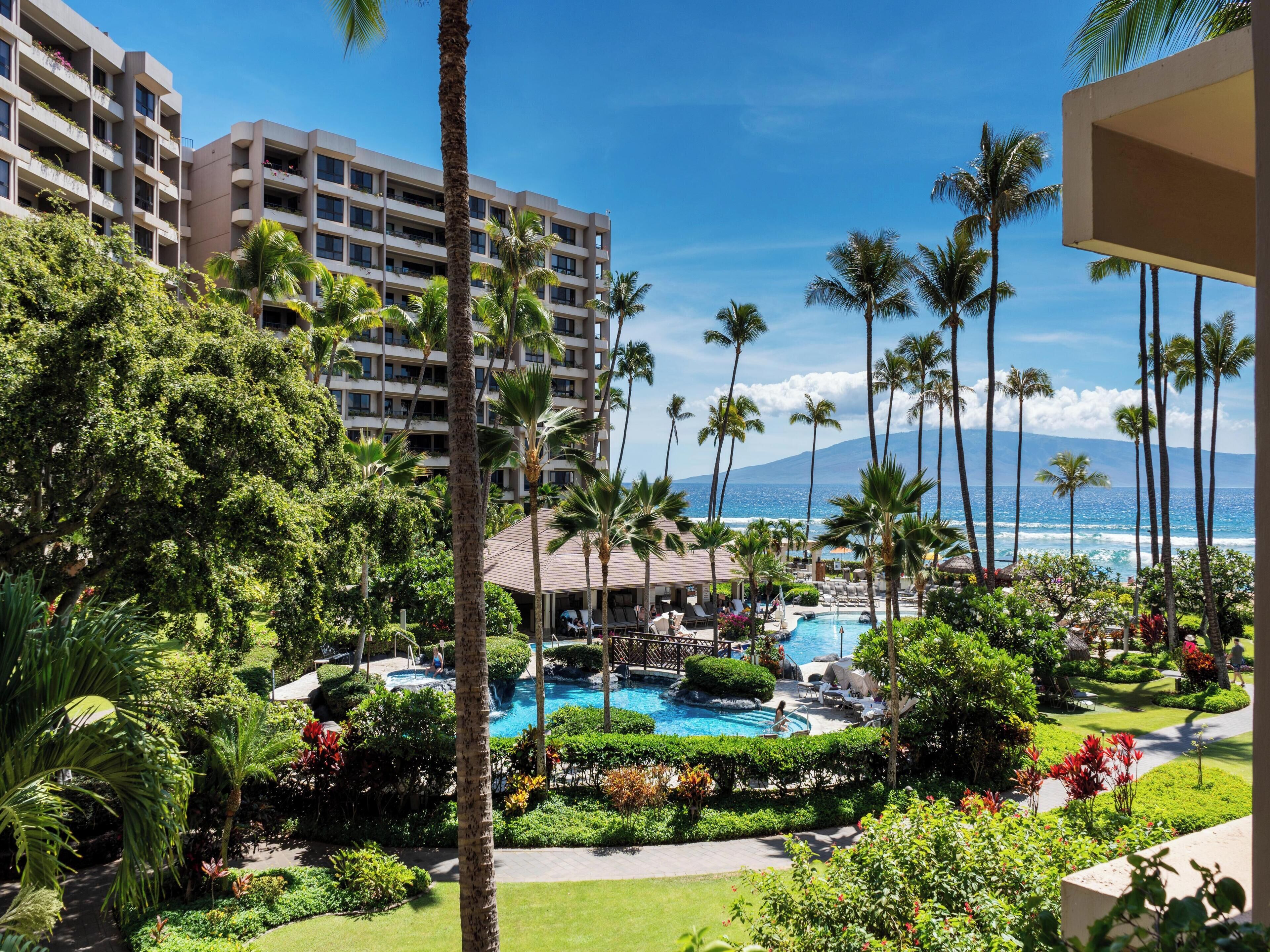 Ein Resort mit Pool, Palmen und Blick auf den Ozean.