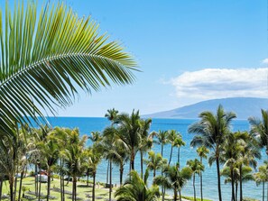 Property grounds - Ocean Views & Serene Island Living w/ Resort Amenities (Lahaina)
