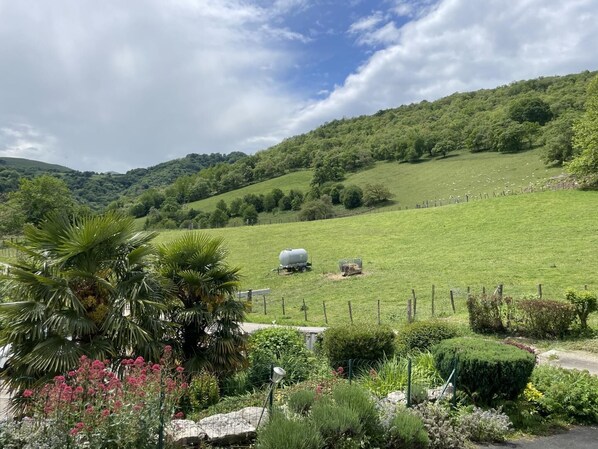 Terrain de l’hébergement 