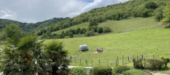 BEROKIA RIGHT - JUXUE