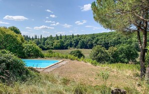 Ein Schwimmbecken, umgeben von üppiger Vegetation und Bäumen.