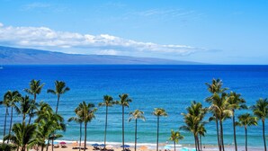Une plage bordée de palmiers, sous un ciel bleu et dégagé.