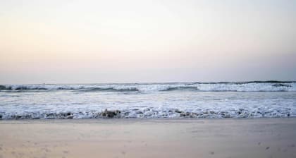 Wildwood Waves - 2BR Apt - Steps from Beach