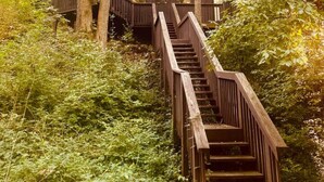 A wooden treehouse with a wooden staircase leading up to it, surrounded by dense foliage.
