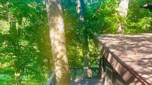 A wooden deck with a railing, surrounded by trees.