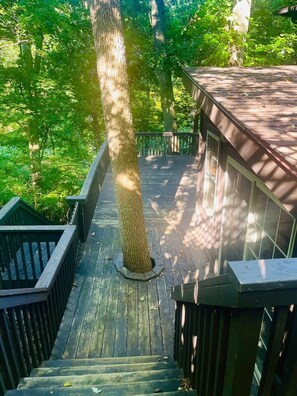 Property grounds - One-of-a-kind dodecagonal retreat (Columbia)