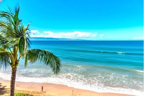 Ein Strand mit einer Palme und Meereswellen.