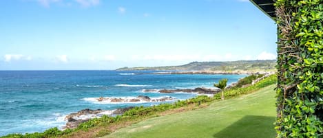 A coastal view with a grassy area and a building with a green exterior.