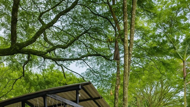 A covered outdoor seating area with chairs and tables, surrounded by trees and a pathway. - Ecohotel El Castillo Pance (Cali)